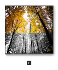 Tranh treo tường canvas phòng ngủ 40cm khung PS